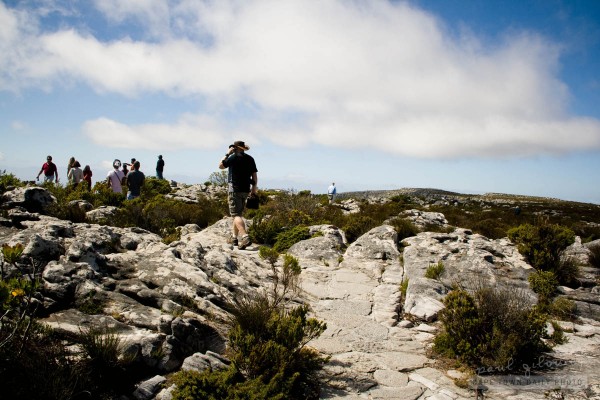 On top of Table Mountain