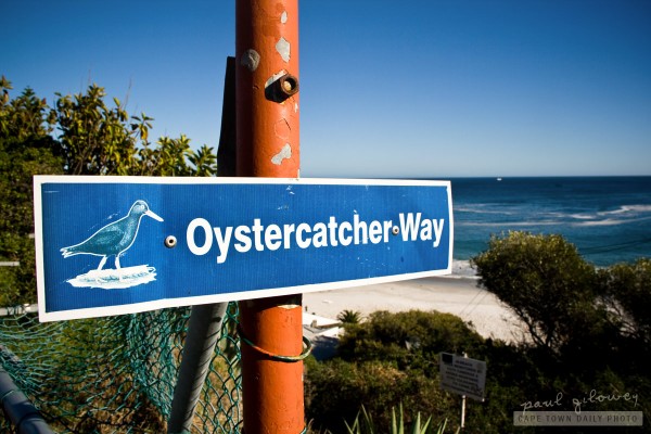Oystercatcher Way