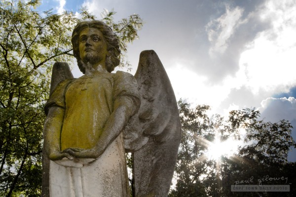 Angel at Stellenbosch cemetery