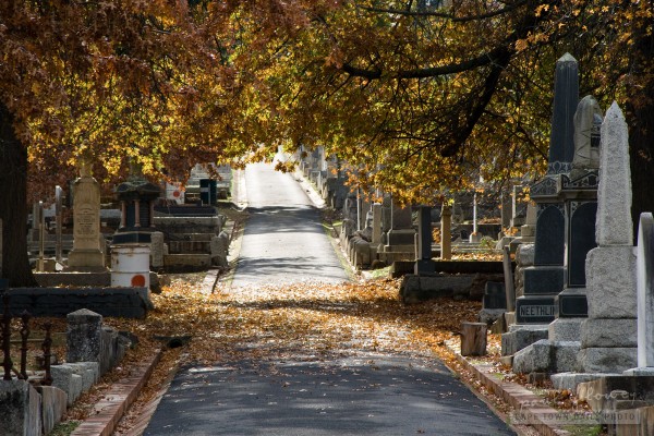Autumn leaves at Stellenbosch cemetery
