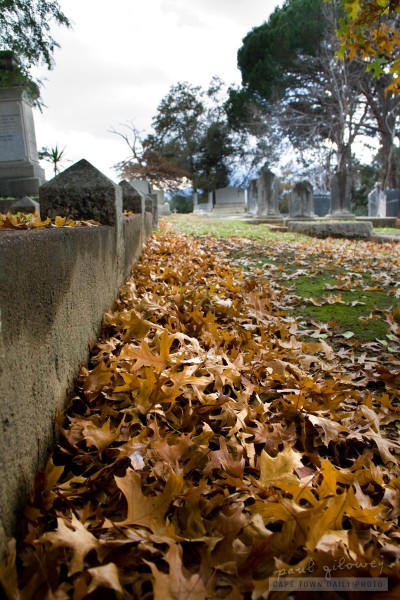 Autumn leaves at the cemetery