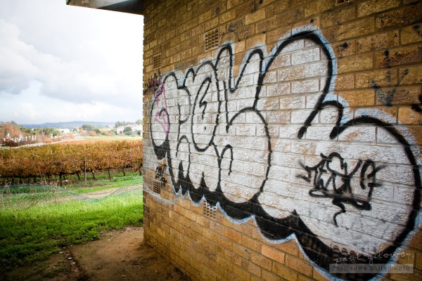 Graffiti and vines