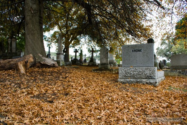 Krone amidst the leaves