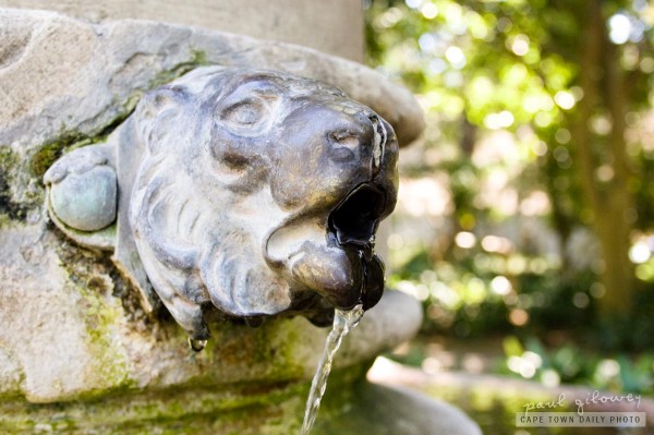 The lion and the water spout
