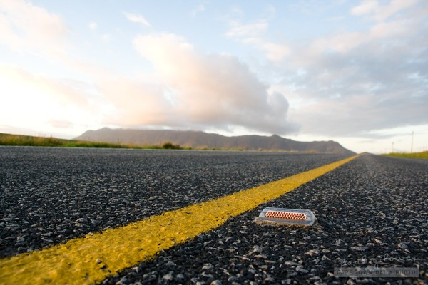 Cat's eyes on the road