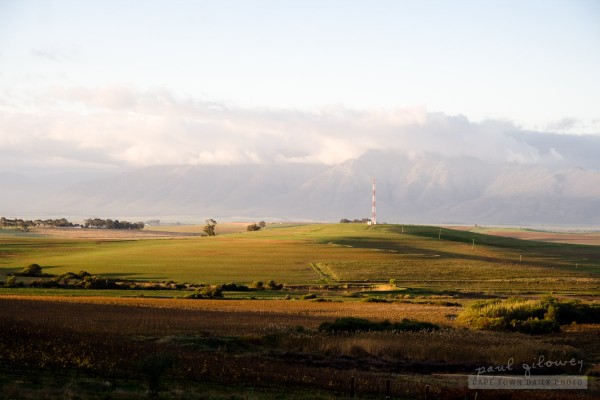 The Cape countryside