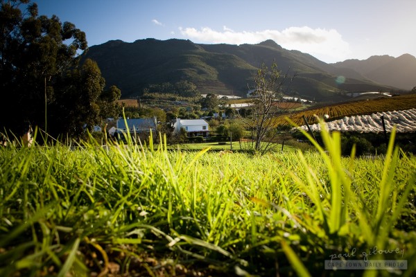 Sky, mountain, grass