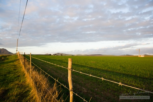 Barbed wire and green fields