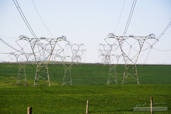 Electricity pylons