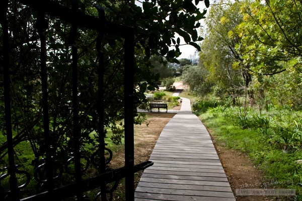 Down the garden path