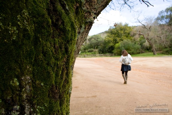 Meulwater Wild Flower Reserve