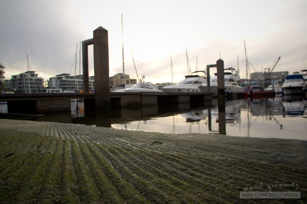 Slippery green stuff