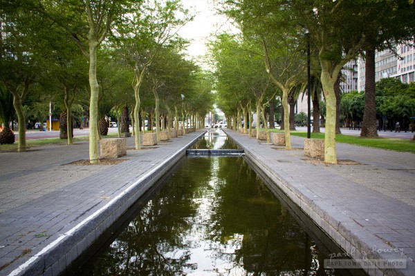 The Seine of Cape Town