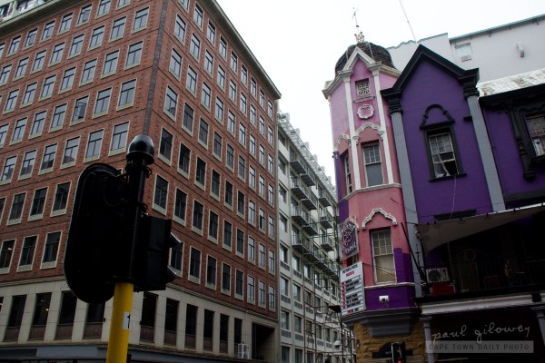 The Purple Turtle in Cape Town