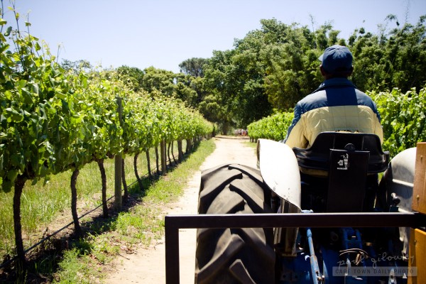 Tractors and picnics