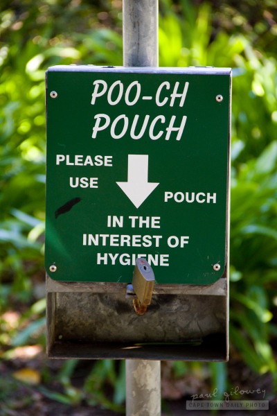 'Cos cats are more civilized