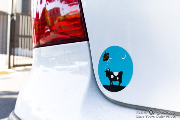 Spaceships and moo-cows