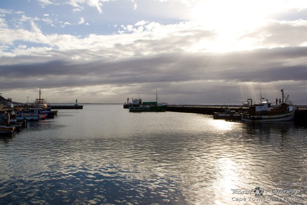 A morning at Kalk Bay harbour