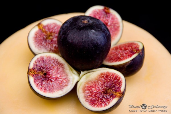 Fresh figs on cheese