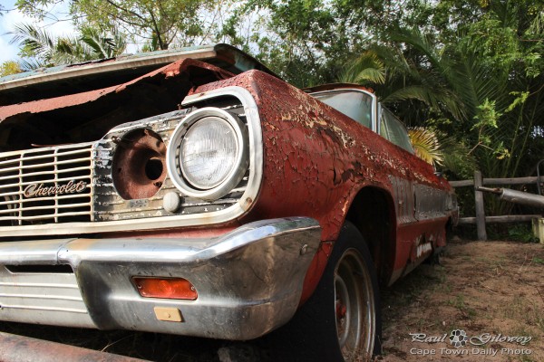 Rusted old cars