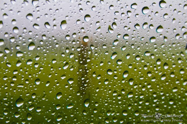 Rain drops on glass window