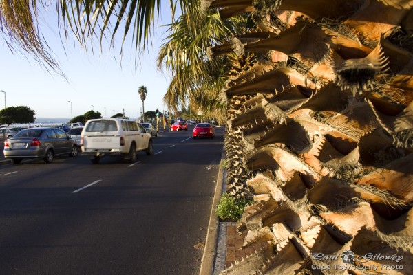 Beach Road in Sea Point