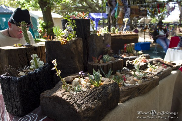 Craft markets and cacti