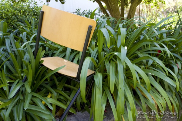 An unusual spot for a garden chair