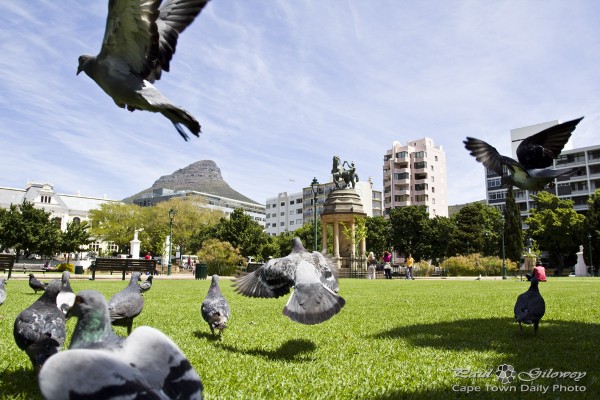 Peninsula trip stop 2: The Company's Garden