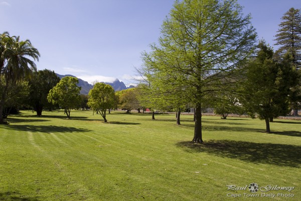 Green lawns of Stellenbosch