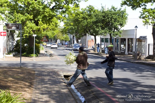 Stellenbosch Streets