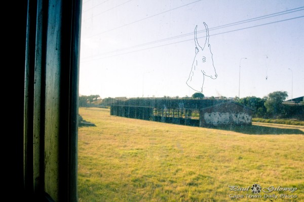 Spoornet's springbok window