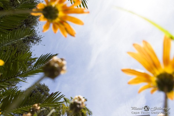 And it was all yellow