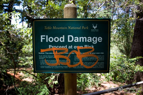 Flood damage in Newlands Forest