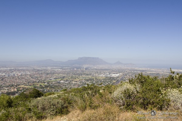 The Golden Mole trail on Tygerberg Hill