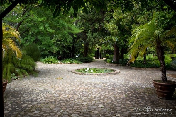 The green of Stellenbosch Botanical Gardens