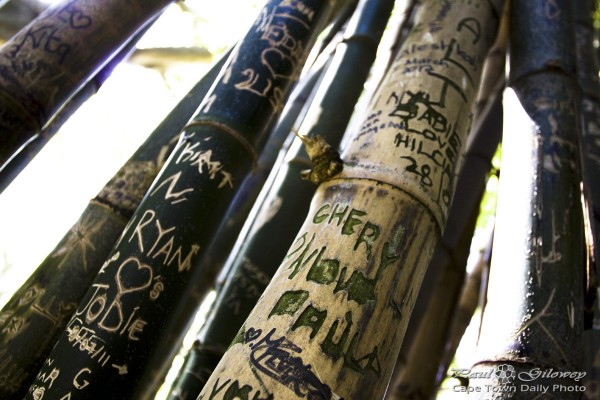 Bamboo graffiti