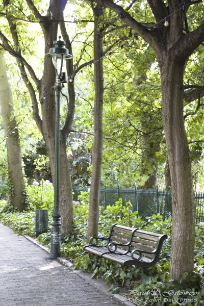 Peaceful places, garden benches