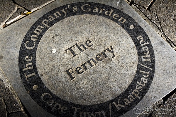The Fernery at the Company's Gardens