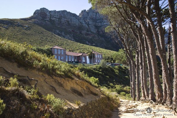 Identify this building?