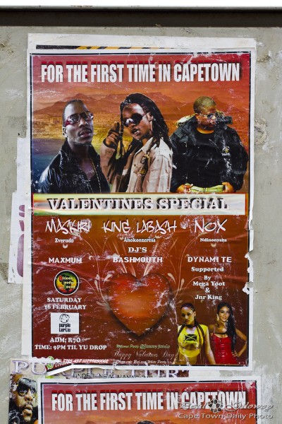 Purple Turtle Valentine Special