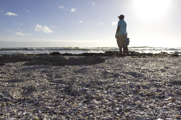 Dads, sons, and shells