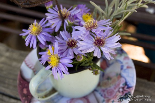 A teacup flower arrangement