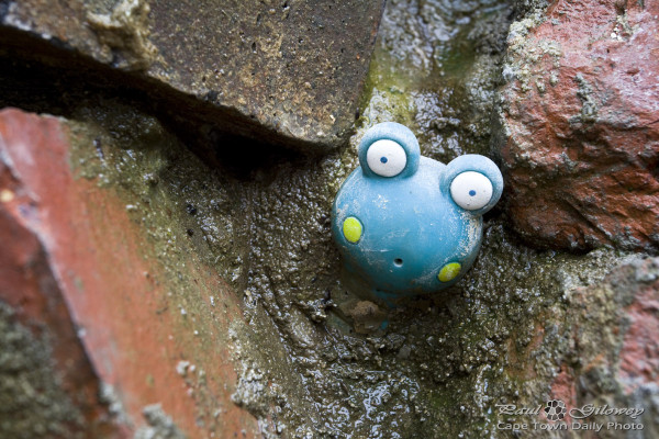 The Wall: All blue and rubbery