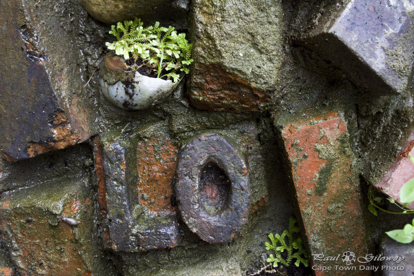 The Wall: It must have been love