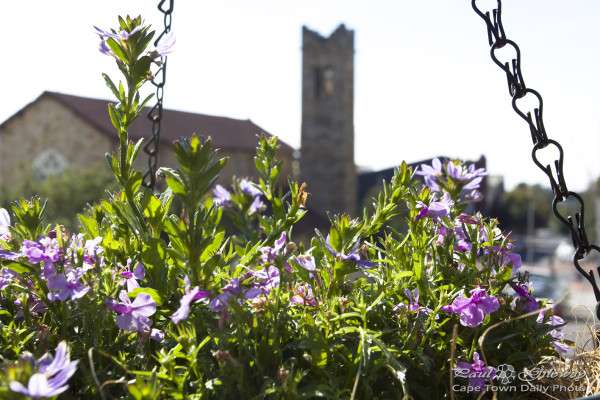 Flowers at The Piano Bar