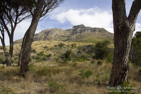 An unusual view of Table Mountain