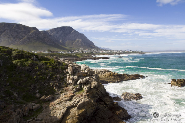 Mountains, fynbos, and the wild-wild ocean