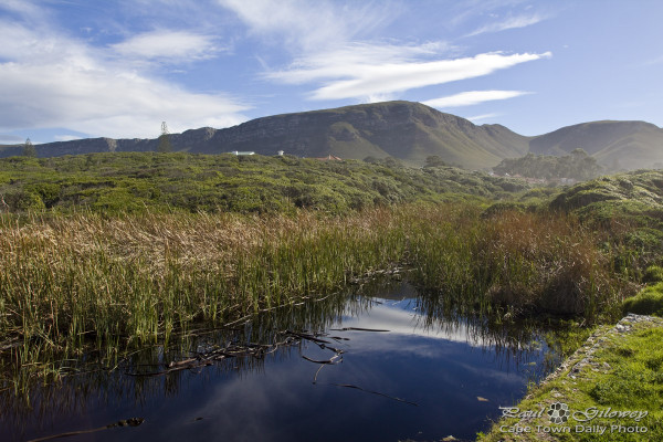Hermanus's landscape