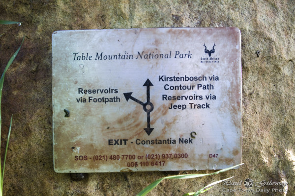 Table Mountain National Park